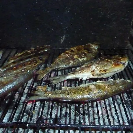 Iva * Omiš